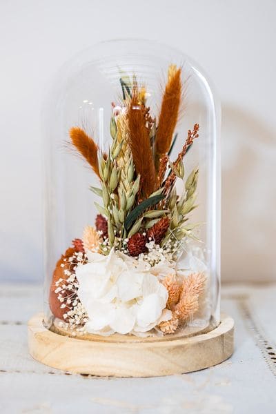 Sous la cloche de verre